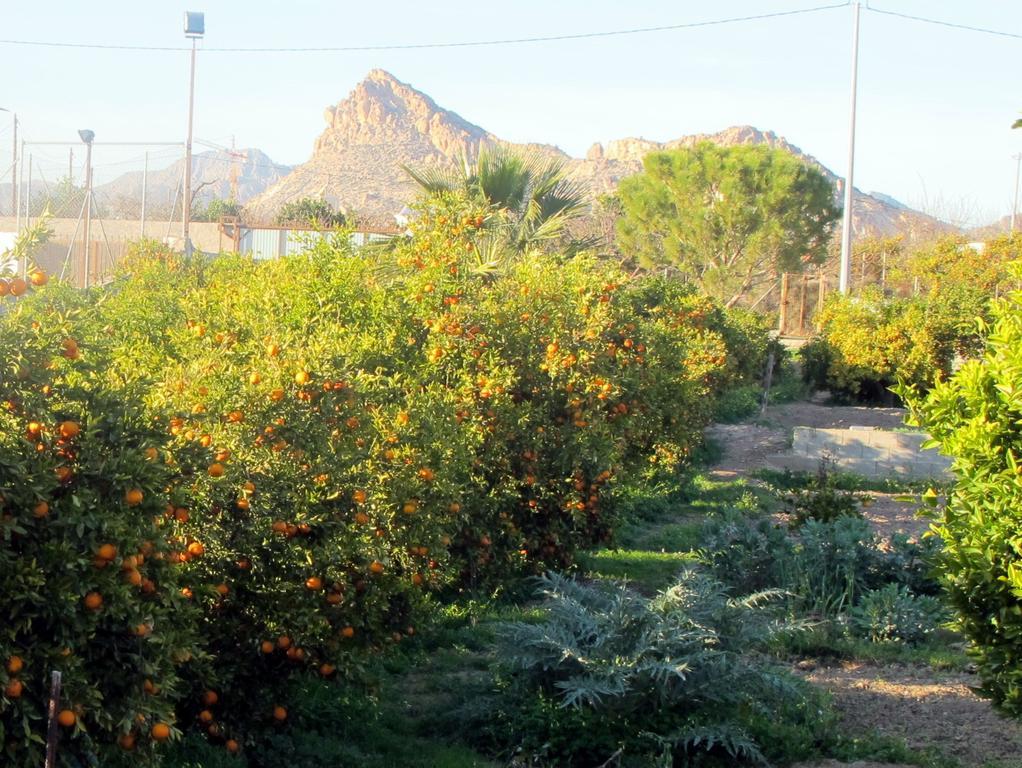 Sol Mediterraneo 아르체나 외부 사진